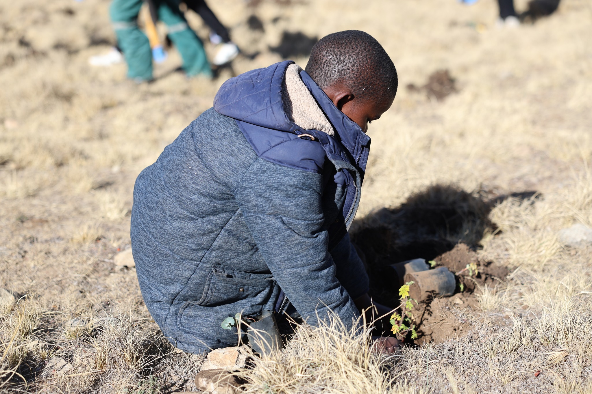 RSL, Mantsopa Rotary Club plant 5 000 trees in Liphookoaneng